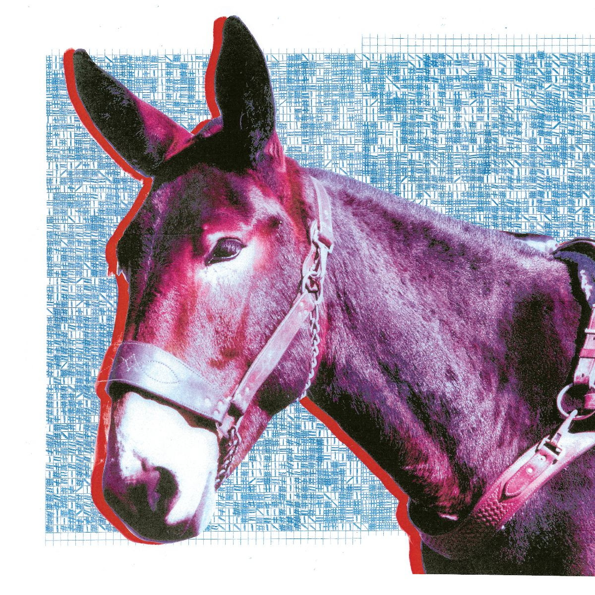 Protomartyr new album Ultimate Success Today