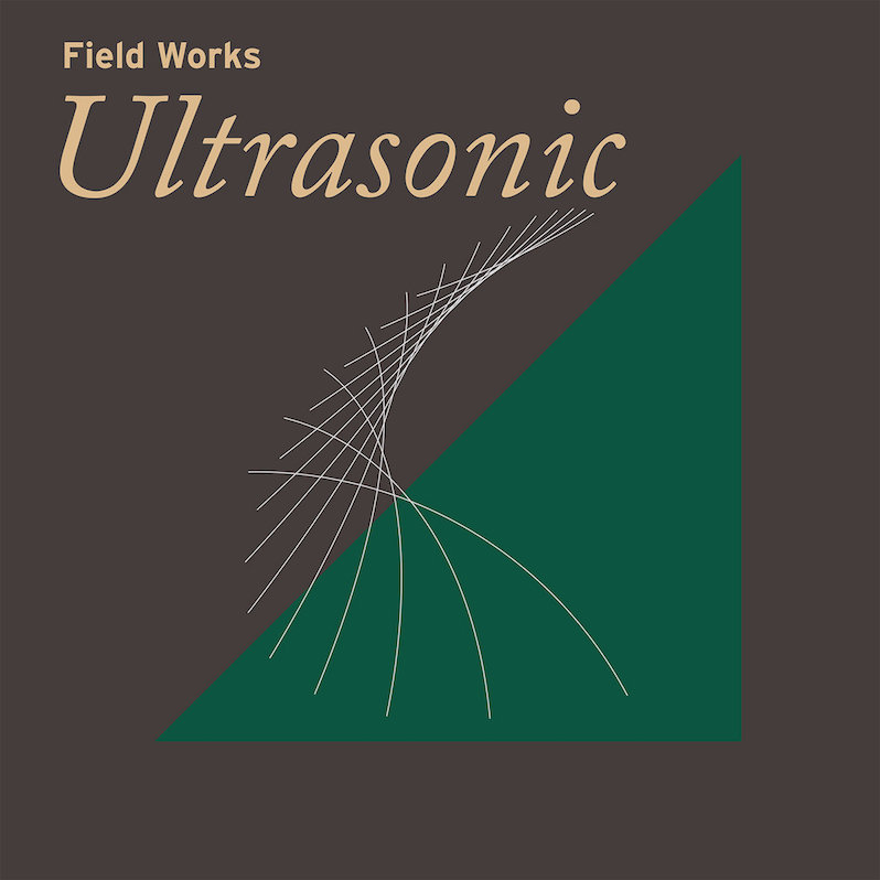 Field Works Ultrasonic review