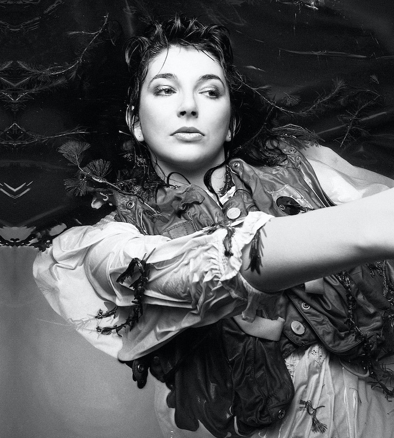 Kate Bush hounds of love