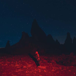 Phoebe Bridgers Punisher review
