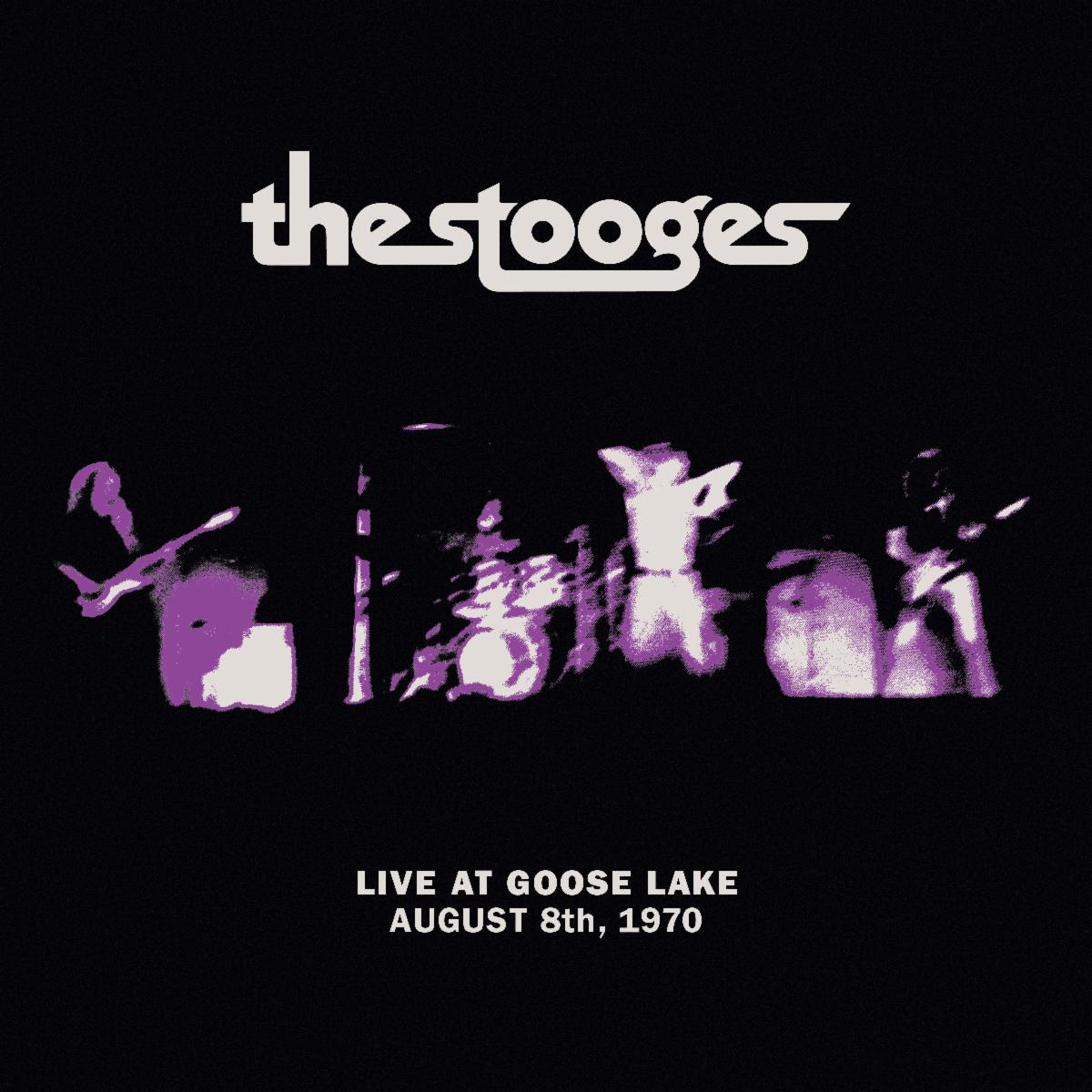 Stooges Live at Goose lake