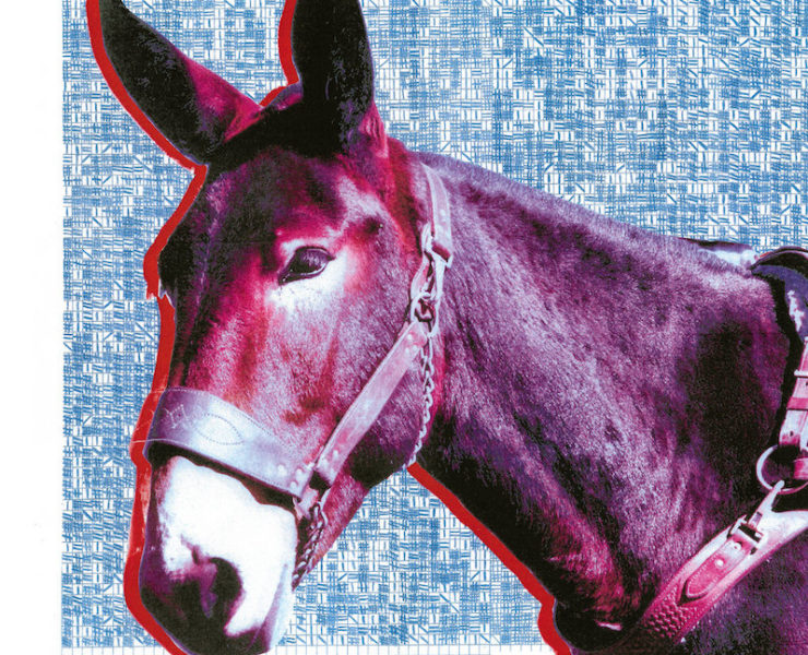 iceage shake the feeling review