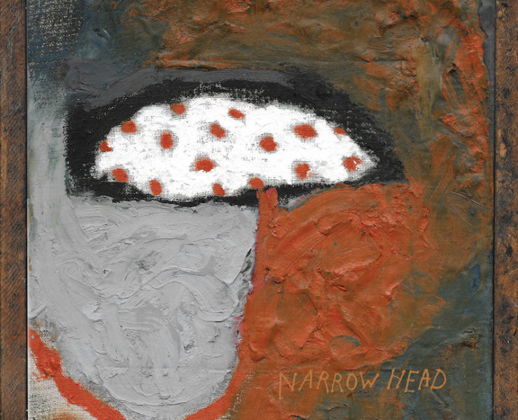 Narrow Head 12th House Rock review