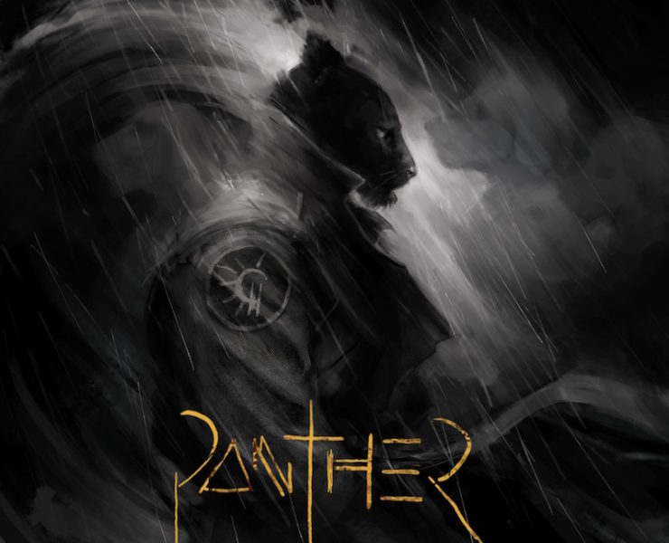 Pain of Salvation Panther review