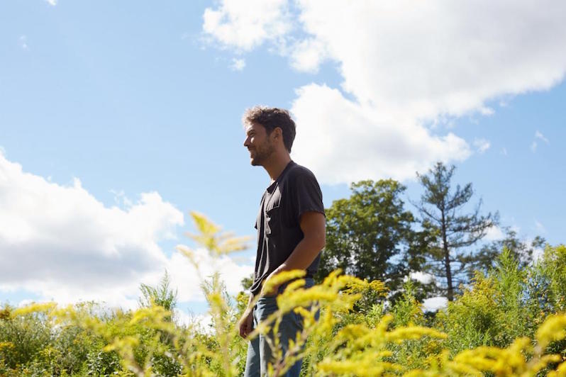 Fleet Foxes live stream