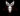 Mr Bungle Raging Wrath of the Easter Bunny review