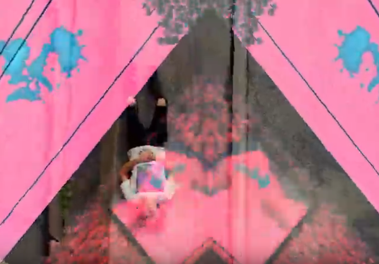 Zoon Landscapes video