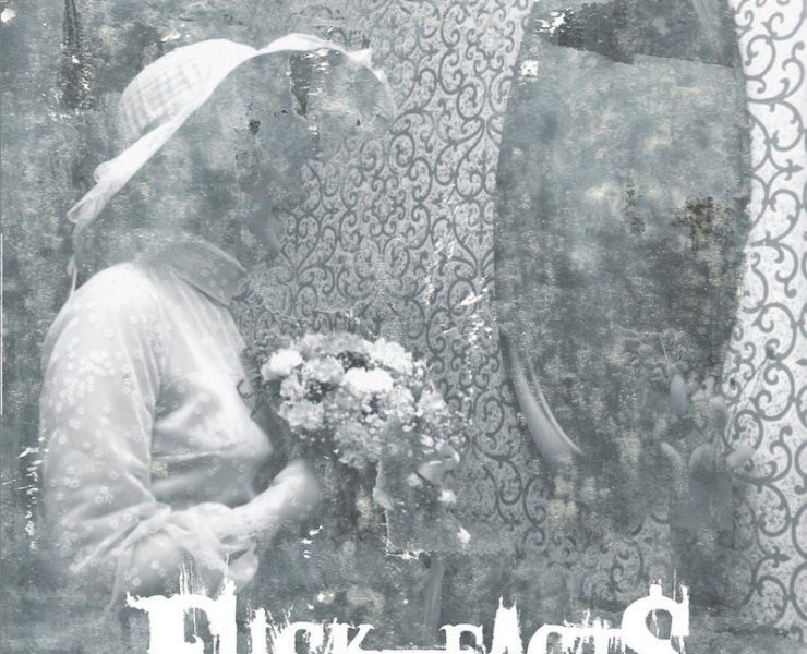 Fuck the Facts Plene Noirceur review