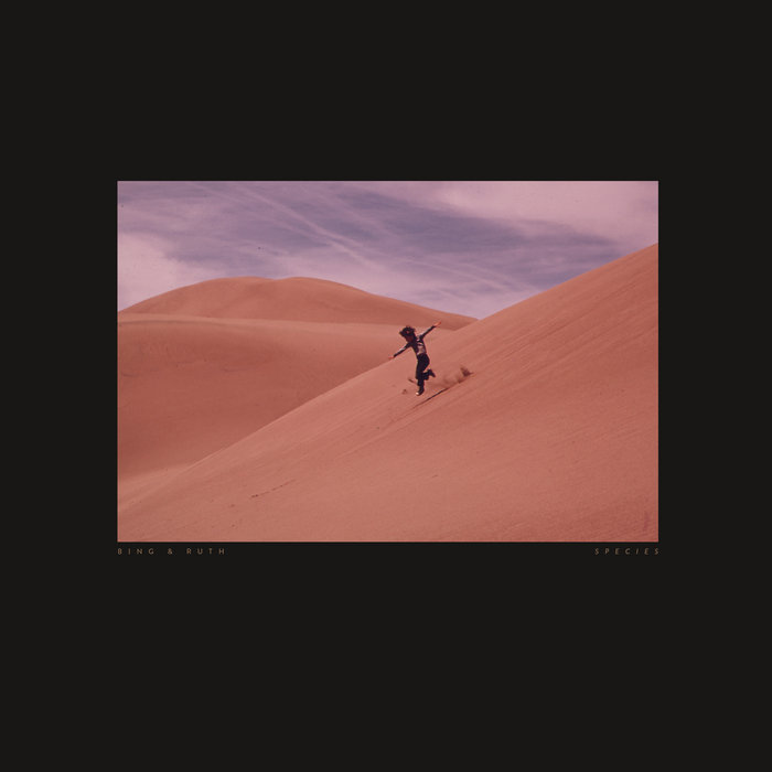 best songs of 2020 Bing and Ruth
