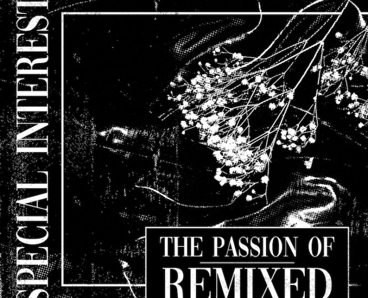 Special Interest Passion of remixed