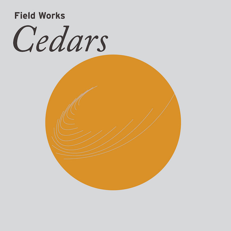 best albums of 2021 so far field works