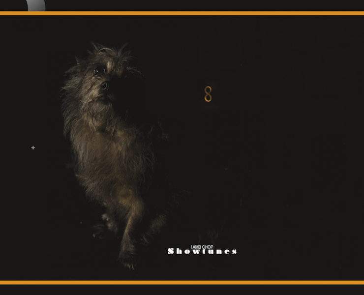 Lambchop new album Showtunes