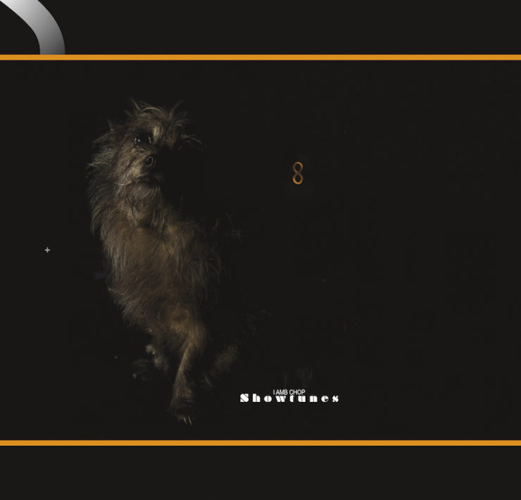 Lambchop new album Showtunes