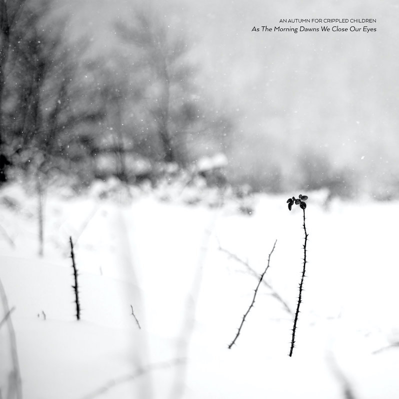 An Autumn for Crippled Children As the Morning Dawns review