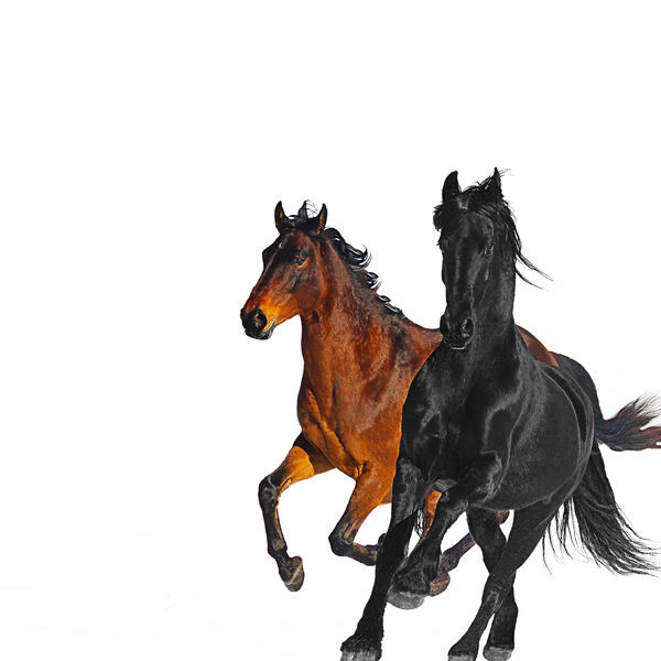 remix history Lil Nas X