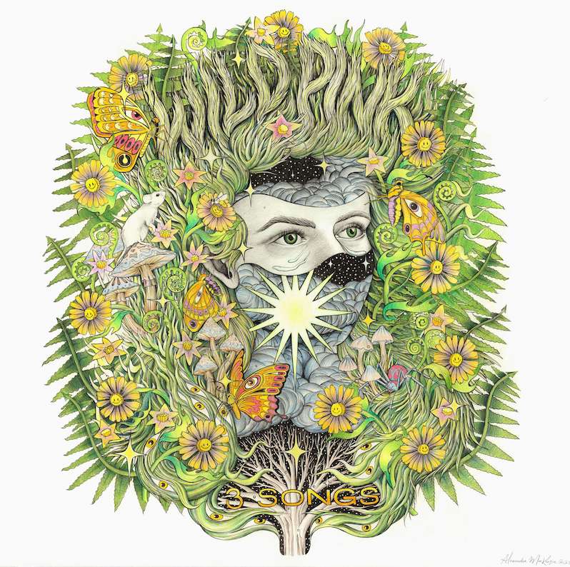 Wild Pink new EP 3 Songs
