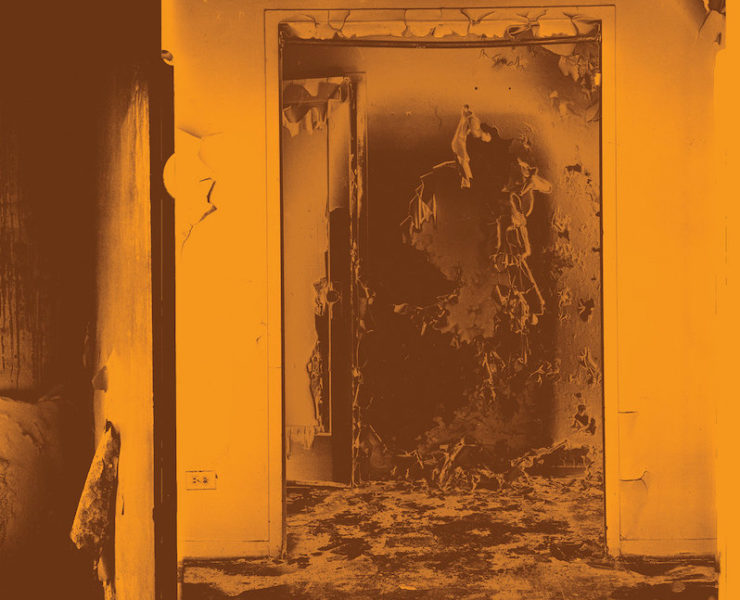 FACS still life in decay review