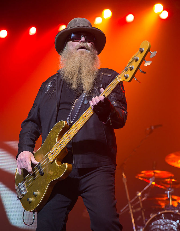 who played bass on hillbilly rock who played bass on hillbilly rock