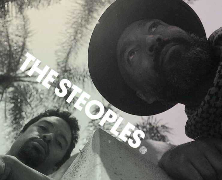 Steoples Wide through the eyes of no one review
