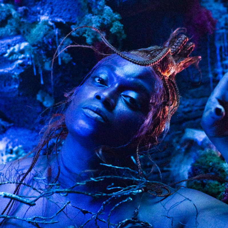 Lotic