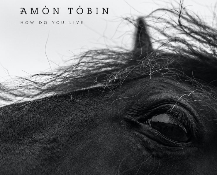 Amon Tobin How do You live review