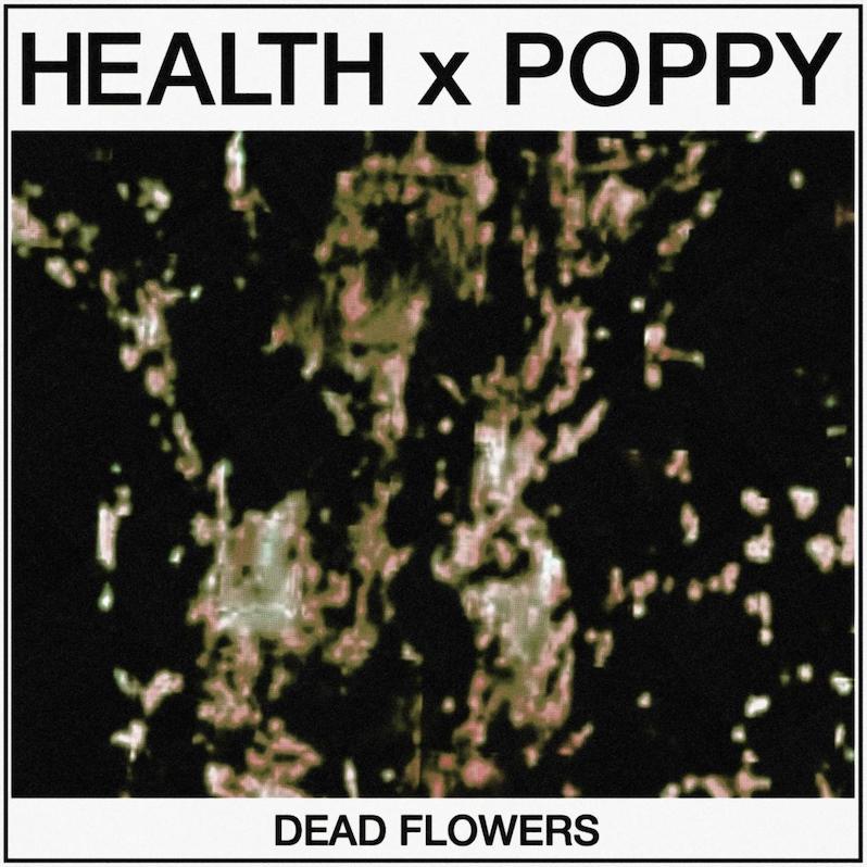 HEALTH Poppy dead flowers