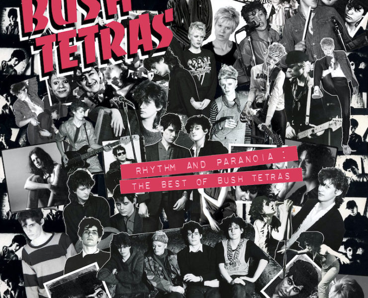 bush tetras rhythm and paranoia review