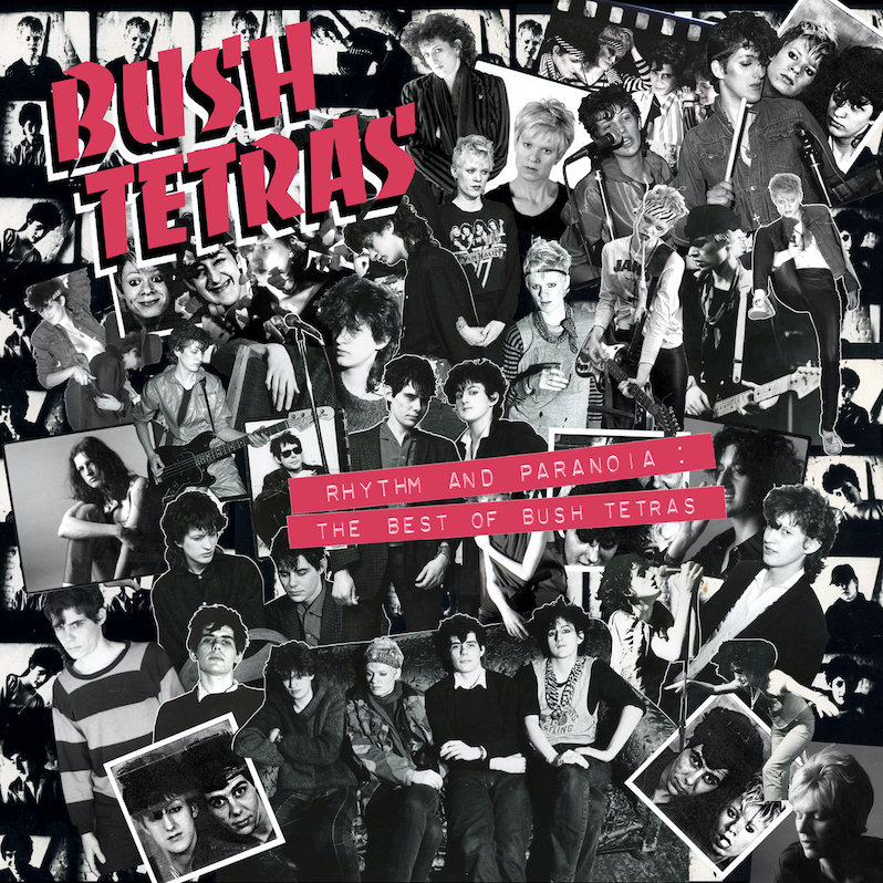 bush tetras rhythm and paranoia review