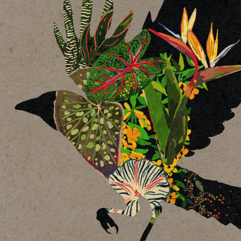 Various Artists @0 review