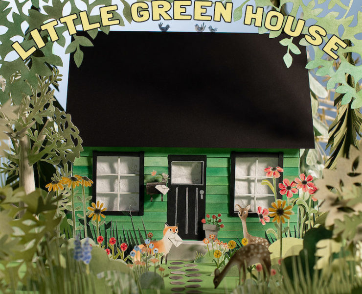 Anxious Little Green House review