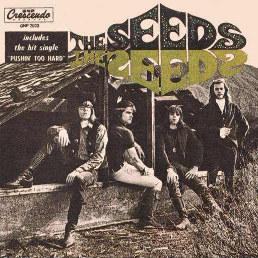 best garage rock albums Seeds
