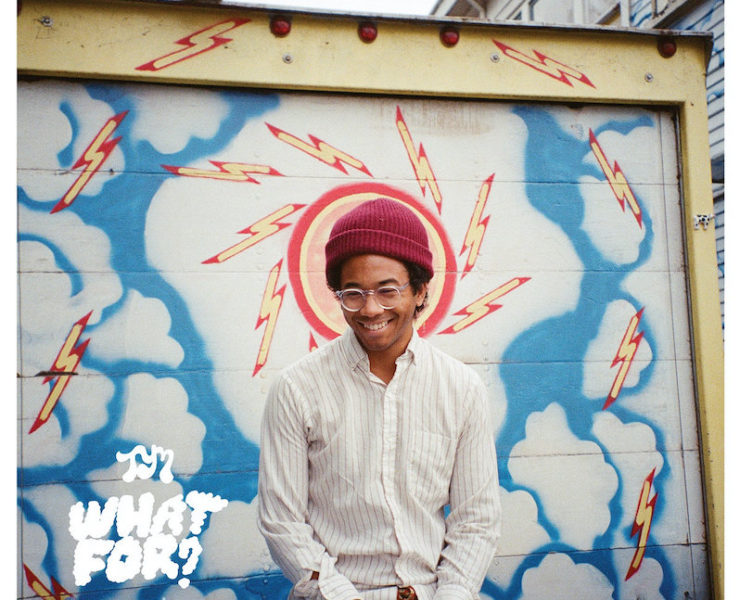 Toro y Moi what for