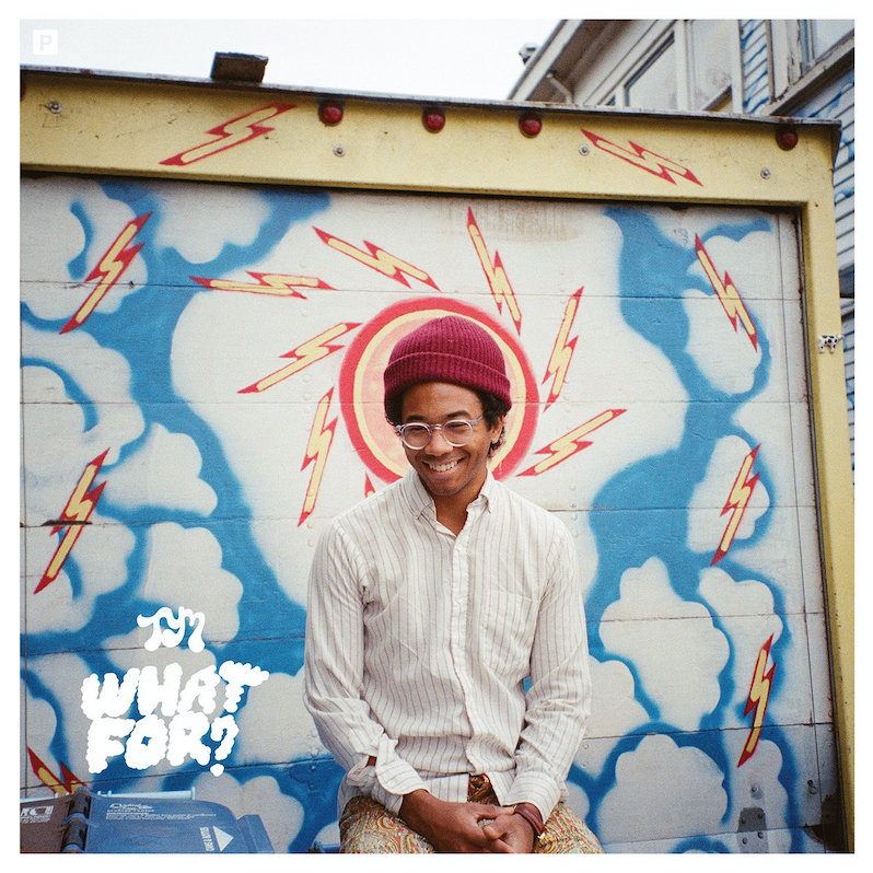 Toro y Moi what for