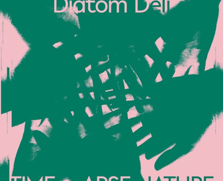 Diatom Deli Time Lapse Nature review