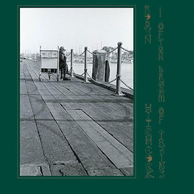 best indie folk albums Robyn Hitchcock