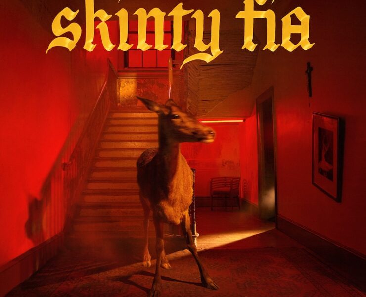 fontaines dc skinty fia