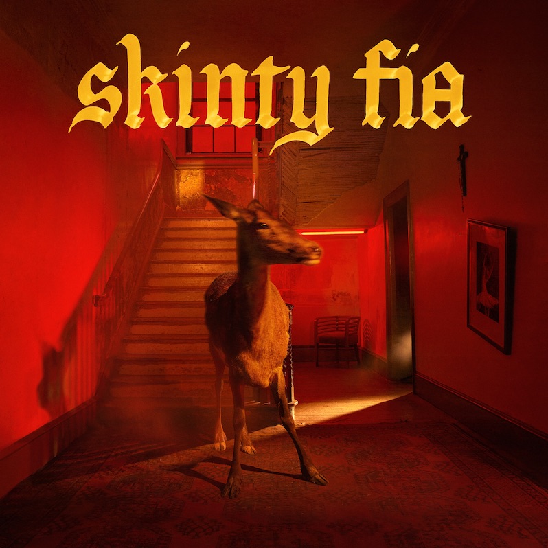 fontaines dc skinty fia
