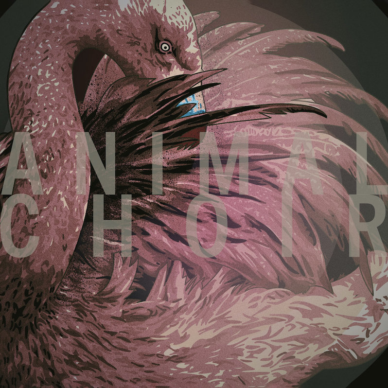 Her Name is Calla Animal Choir