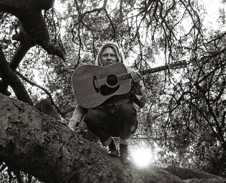 Ty Segall Hello Hi review