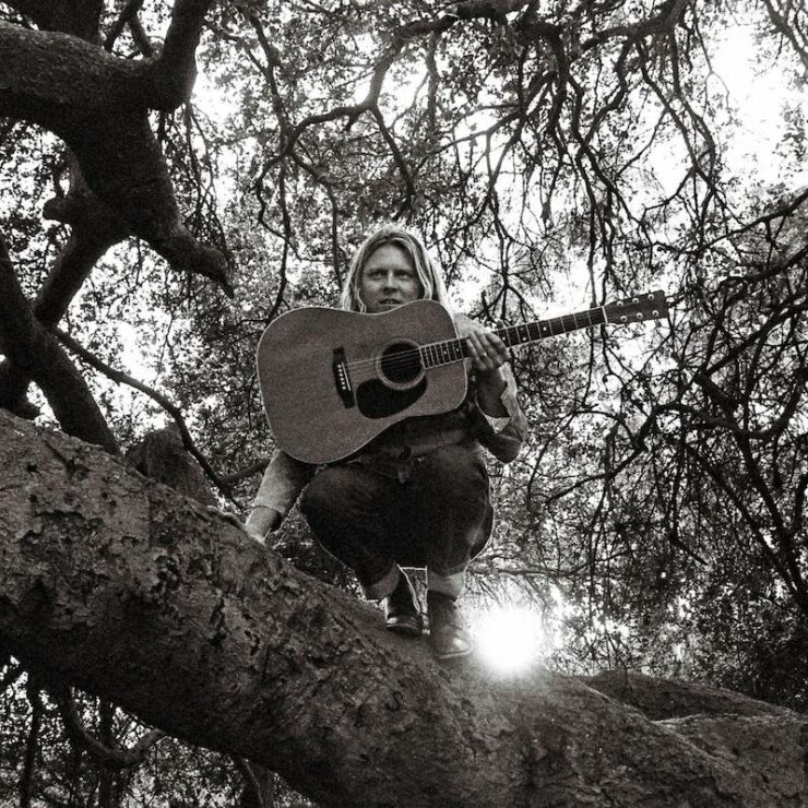 Ty Segall Hello Hi review