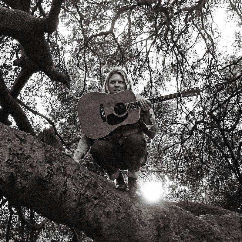 Ty Segall Hello Hi review