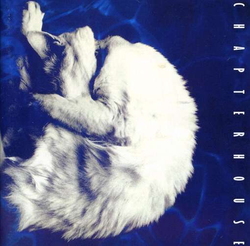 best shoegaze songs Chapterhouse
