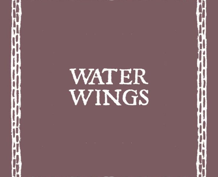 Birds in Row Water Wings