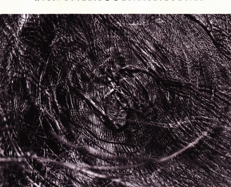 Cocteau Twins Harold Budd Moon and the Melodies