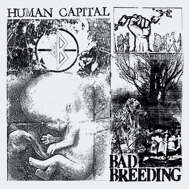 Bad Breeding Human Capital review