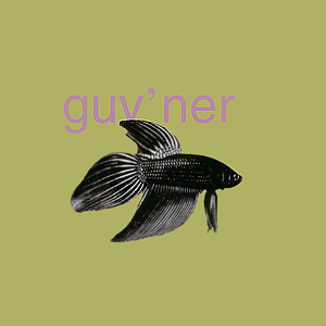 in the fishtank guvner