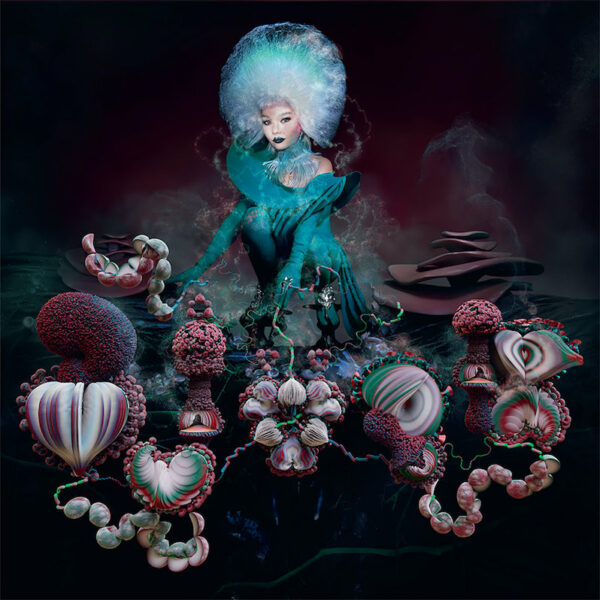 Bj rk Fossora Album Review Treble