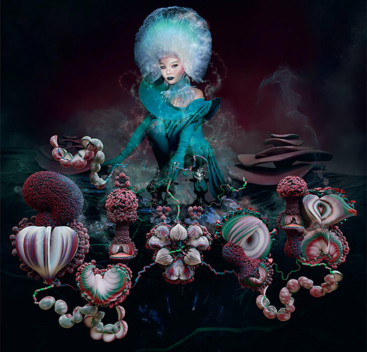 Björk Fossora review