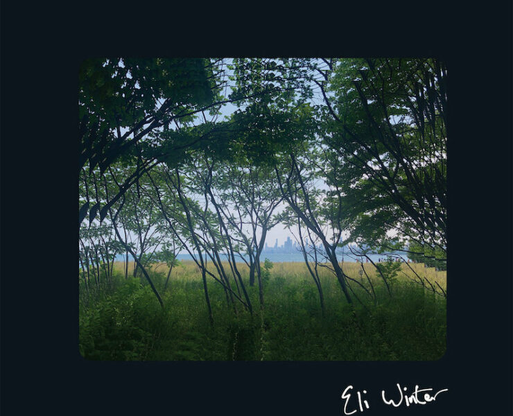 Eli Winter review
