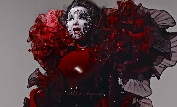 Björk Ovule